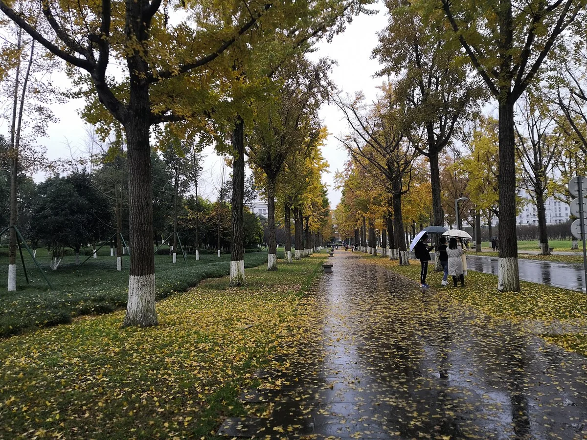 University of Electronic Science and Technology of China campus